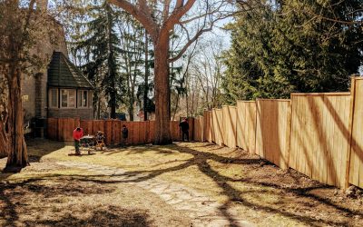 Wide shot of a backyard fence.